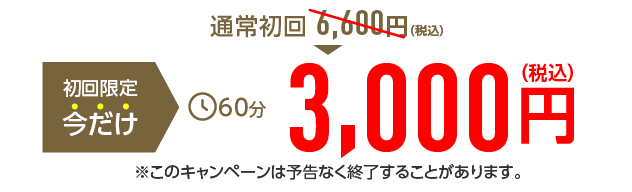 初回限定今だけ